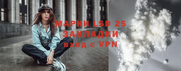 PSILOCYBIN Елабуга