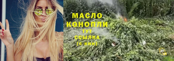 мет Дмитров