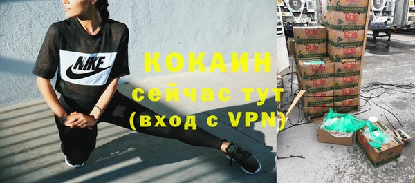 спайс Ельня