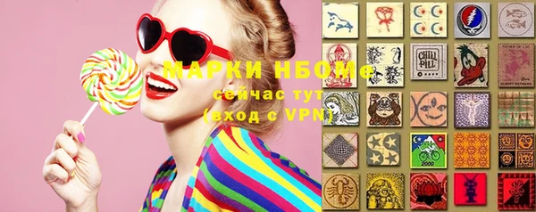 мет Дмитров