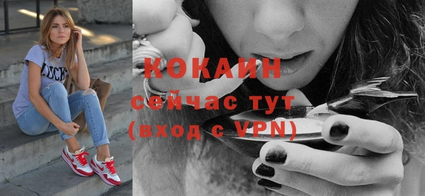 спайс Ельня