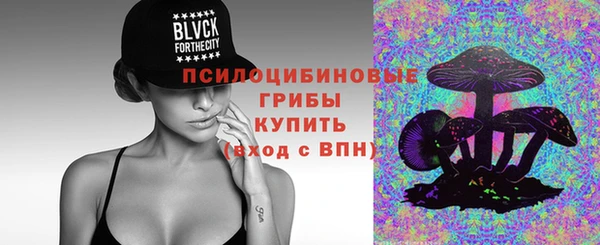 мет Дмитров