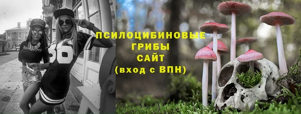 мет Дмитров