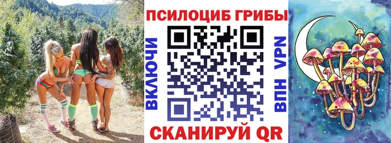 Купить закладки  Покровск  Галлюциногенные грибы Magic Shrooms 