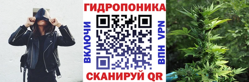 Купить закладки  Покровск  Бошки марихуана Ganja 